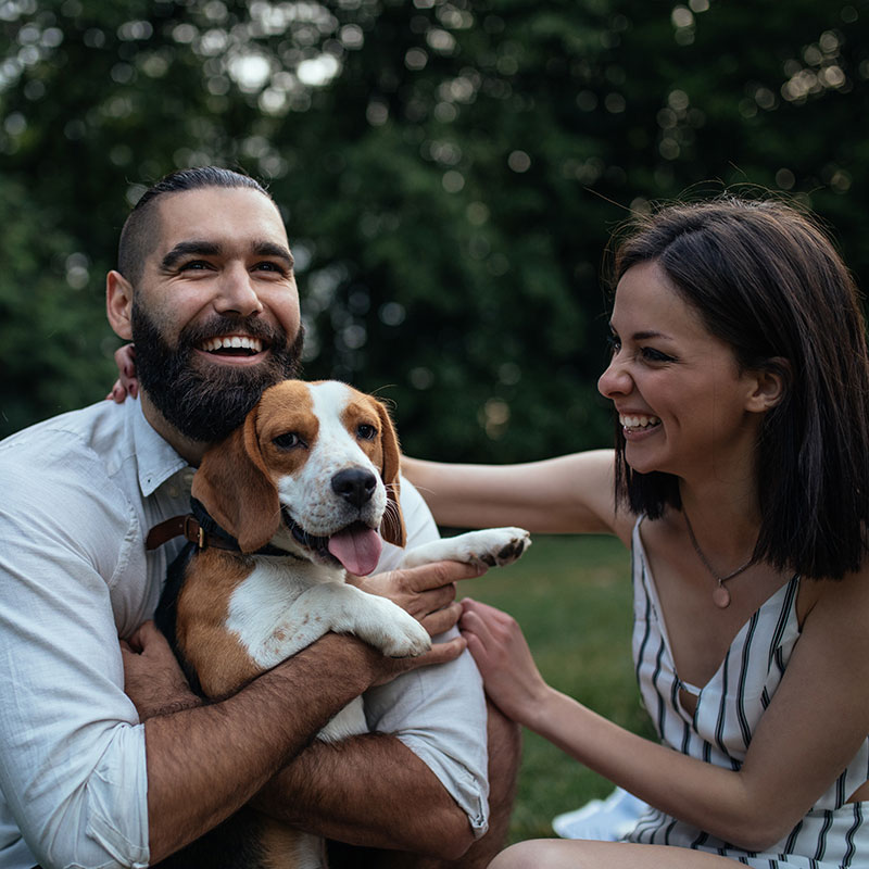 Northlake Charlotte neighborhood near The Bennett apartments pet friendly